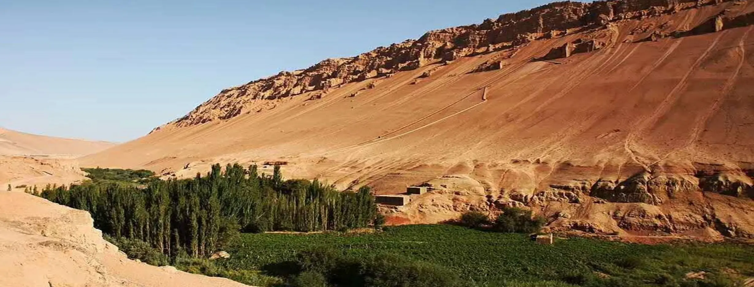 Image for Silk Road